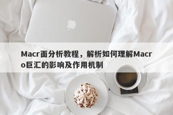 Macr面分析教程，解析如何理解Macro巨汇的影响及作用机制
