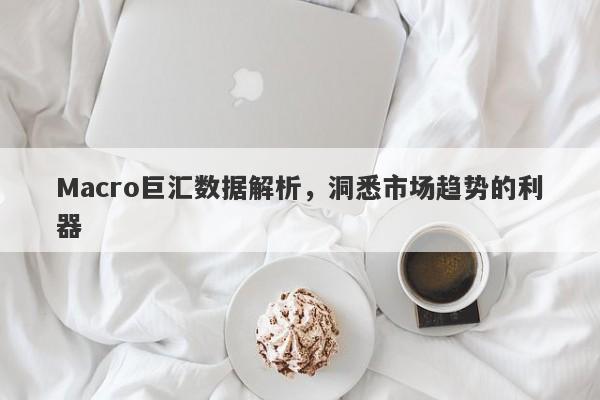 Macro巨汇数据解析，洞悉市场趋势的利器