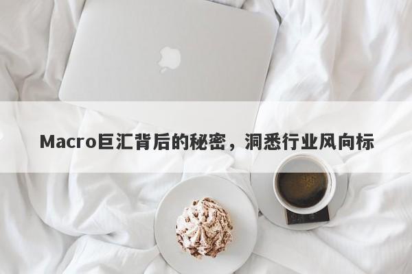 Macro巨汇背后的秘密，洞悉行业风向标