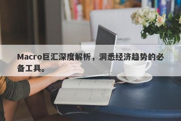 Macro巨汇深度解析，洞悉经济趋势的必备工具。