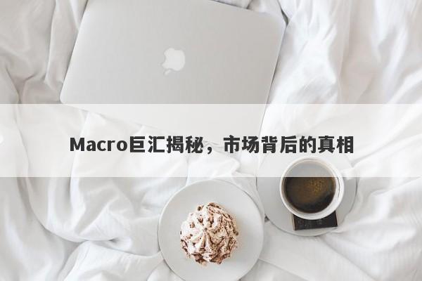 Macro巨汇揭秘，市场背后的真相