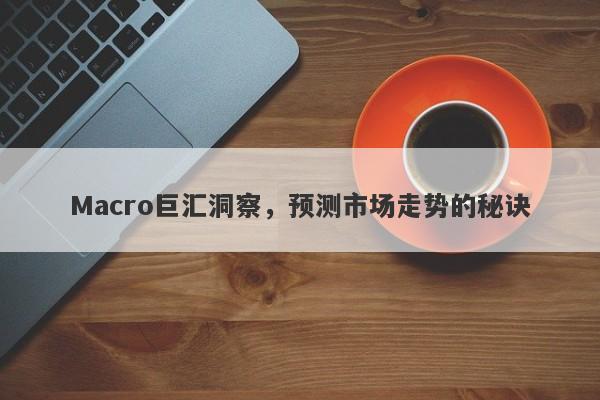 Macro巨汇洞察，预测市场走势的秘诀