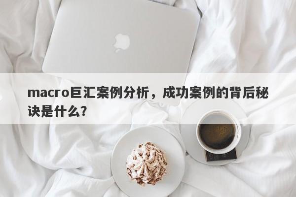 macro巨汇案例分析，成功案例的背后秘诀是什么？