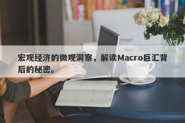 宏观经济的微观洞察，解读Macro巨汇背后的秘密。