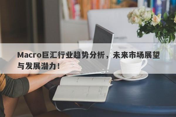 Macro巨汇行业趋势分析，未来市场展望与发展潜力！