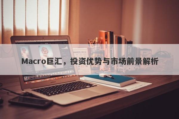 Macro巨汇，投资优势与市场前景解析