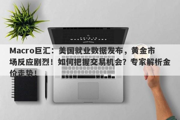 Macro巨汇：美国就业数据发布，黄金市场反应剧烈！如何把握交易机会？专家解析金价走势！