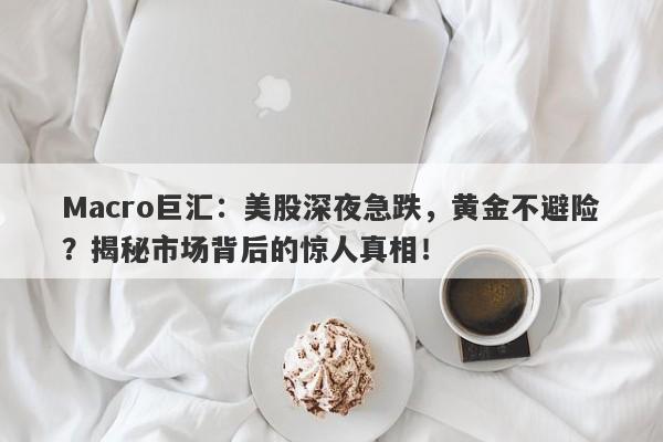 Macro巨汇：美股深夜急跌，黄金不避险？揭秘市场背后的惊人真相！