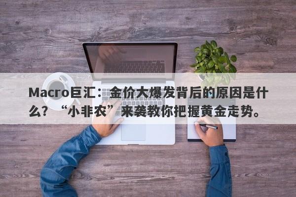 Macro巨汇：金价大爆发背后的原因是什么？“小非农”来袭教你把握黄金走势。